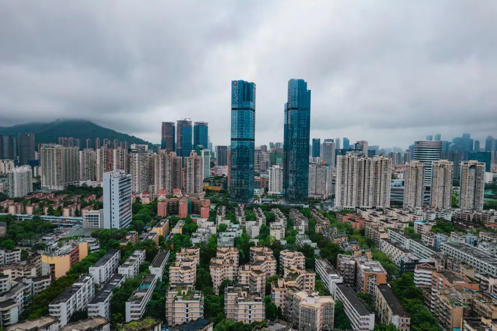 2025年深圳移民服务行业新政策解读与合规办理指南正文配图 1